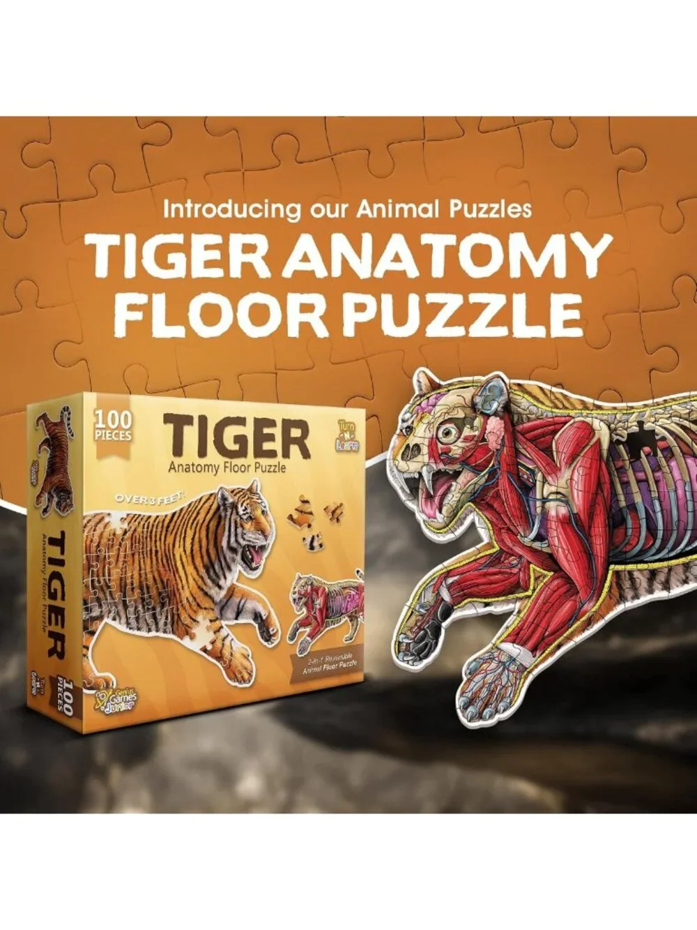 Large 100-Piece Tiger Anatomy Floor Puzzle | Double-Sided Jigsaw for Kids